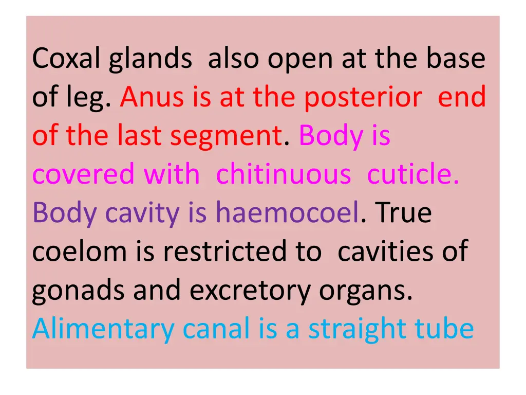 coxal glands also open at the base of leg anus