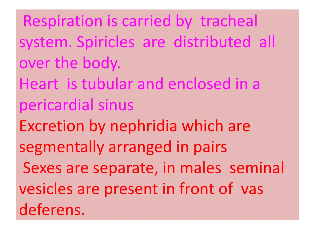 respiration is carried by tracheal system