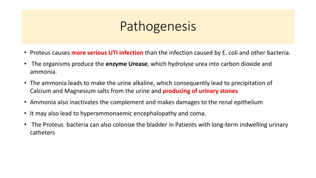 pathogenesis 1