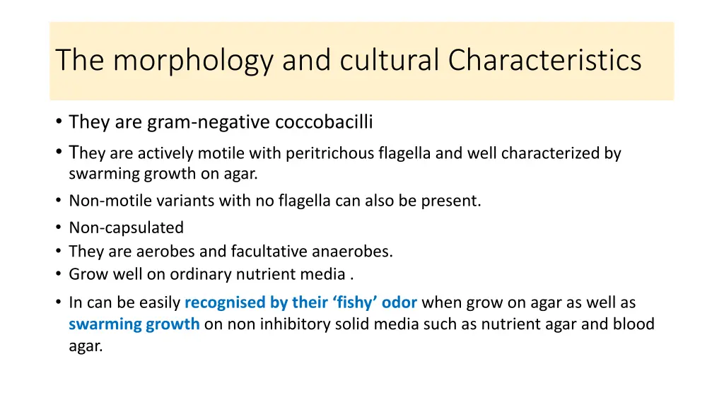 the morphology and cultural characteristics