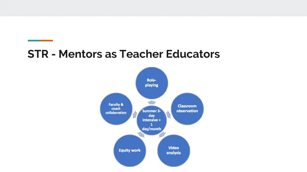 str mentors as teacher educators 2