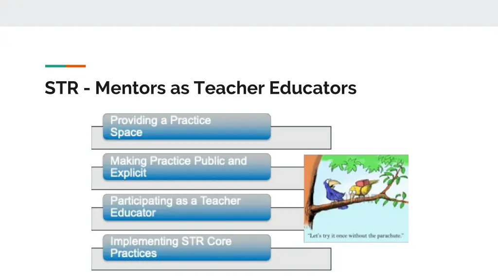 str mentors as teacher educators