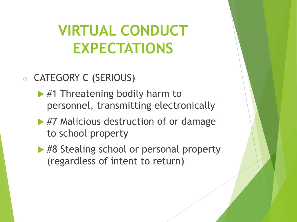 virtual conduct expectations