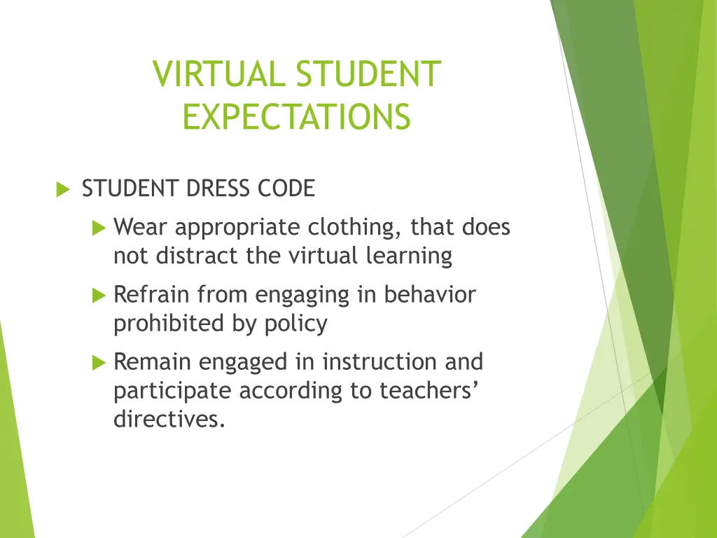 virtual student expectations 1