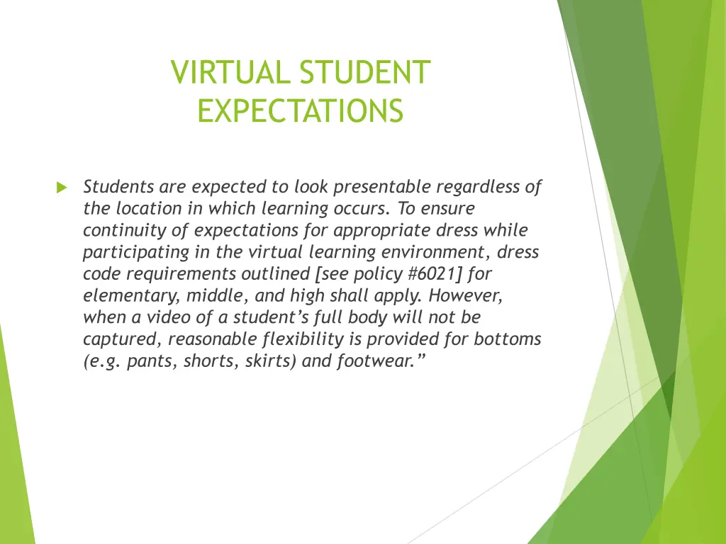 virtual student expectations 2