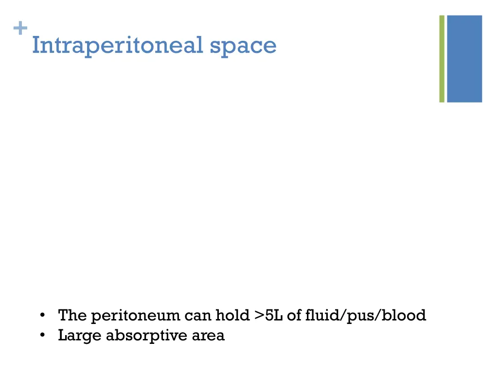 intraperitoneal space