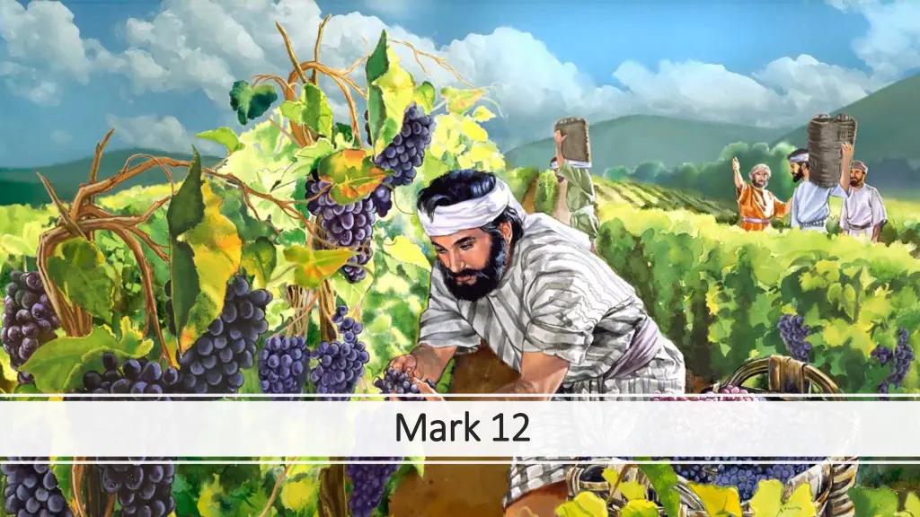 mark 12 mark 12