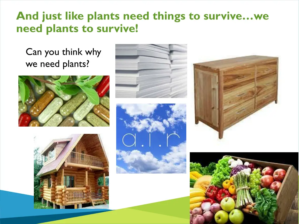 and just like plants need things to survive