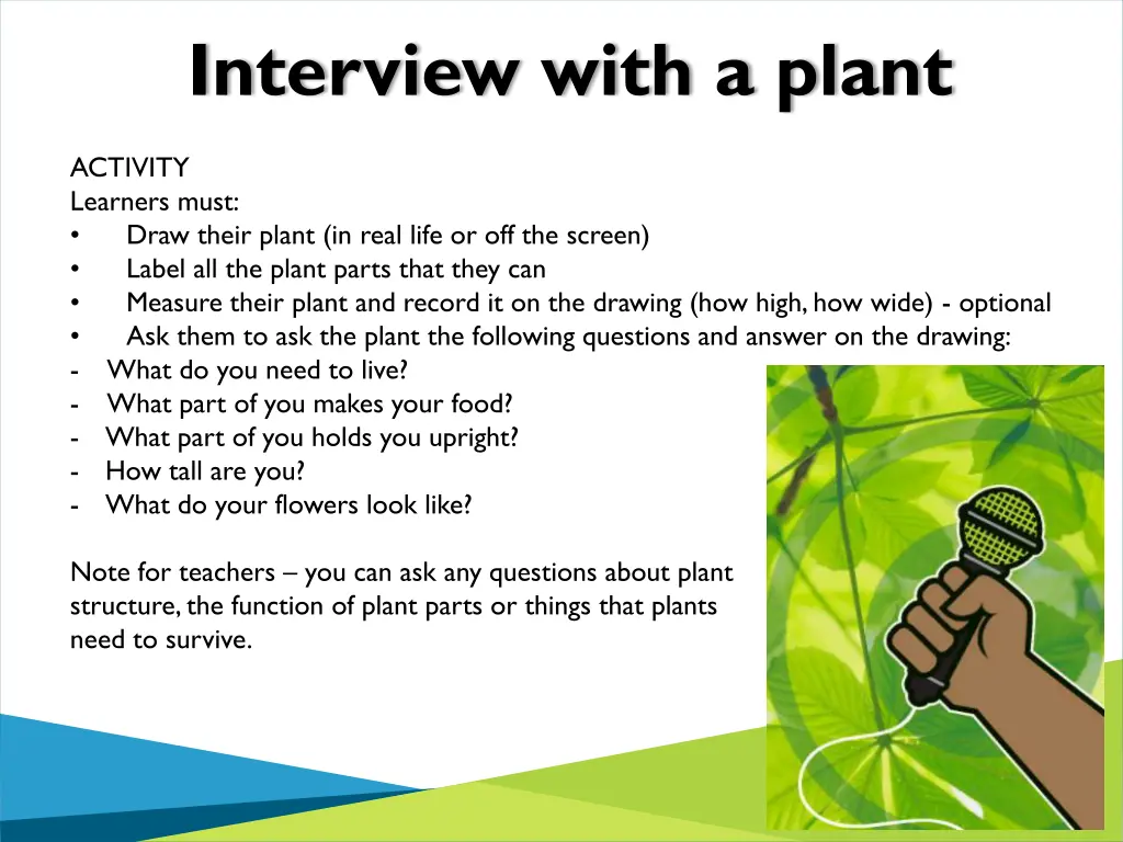 interview with a plant