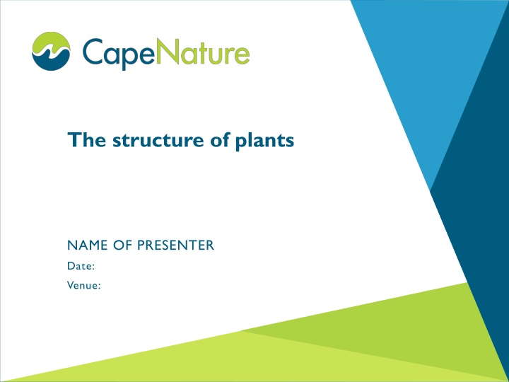 the structure of plants