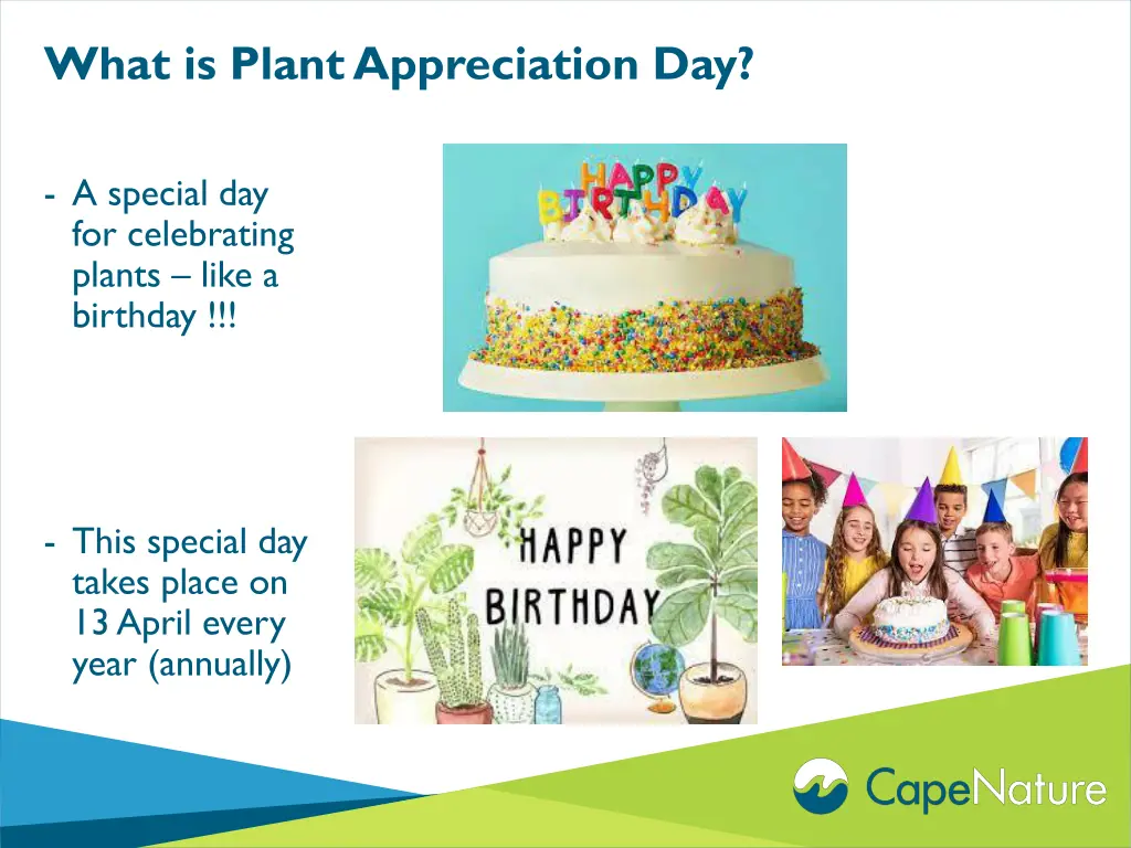 what is plant appreciation day