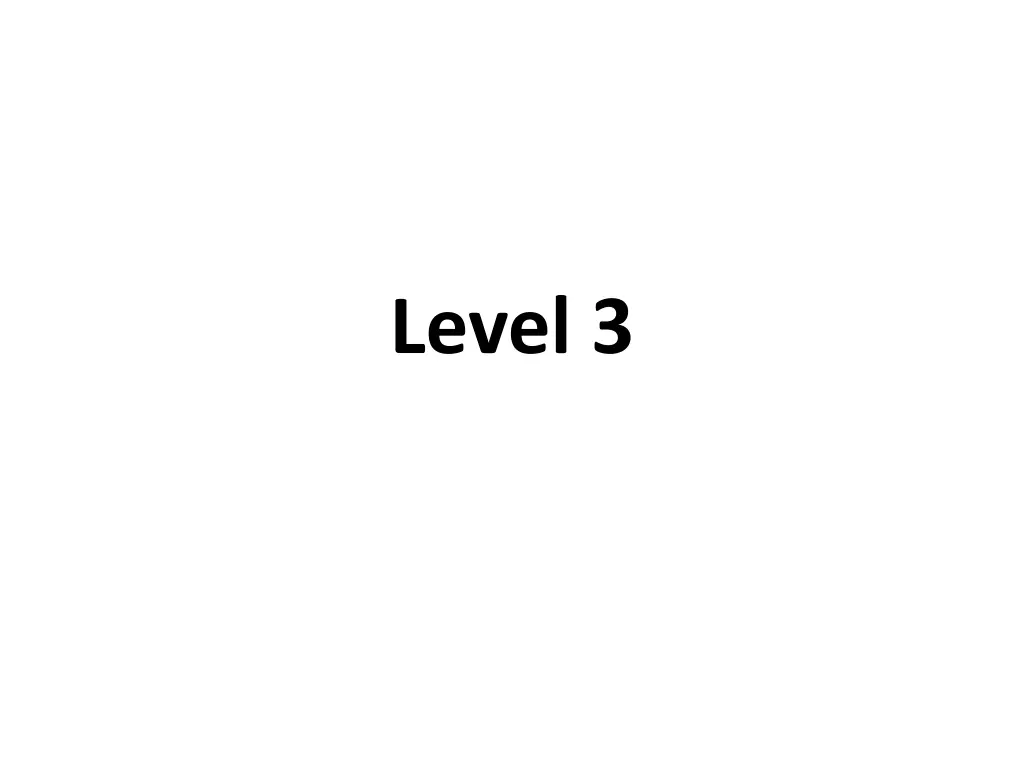 level 3