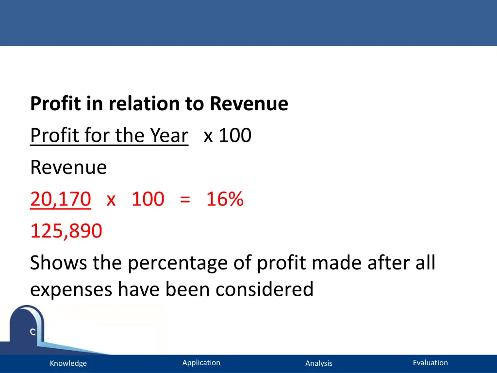 profit in relation to revenue profit for the year