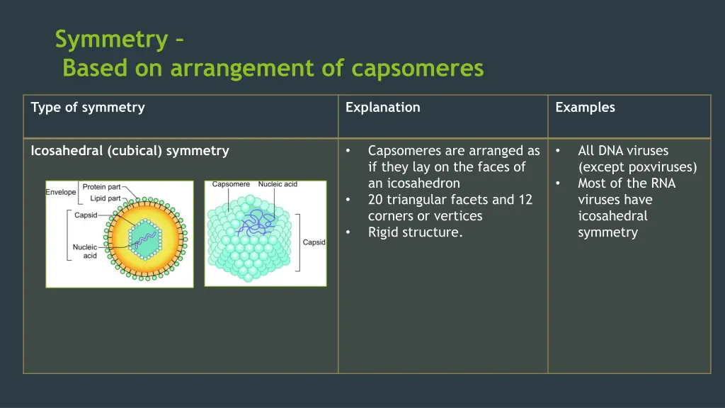 symmetry based on arrangement of capsomeres