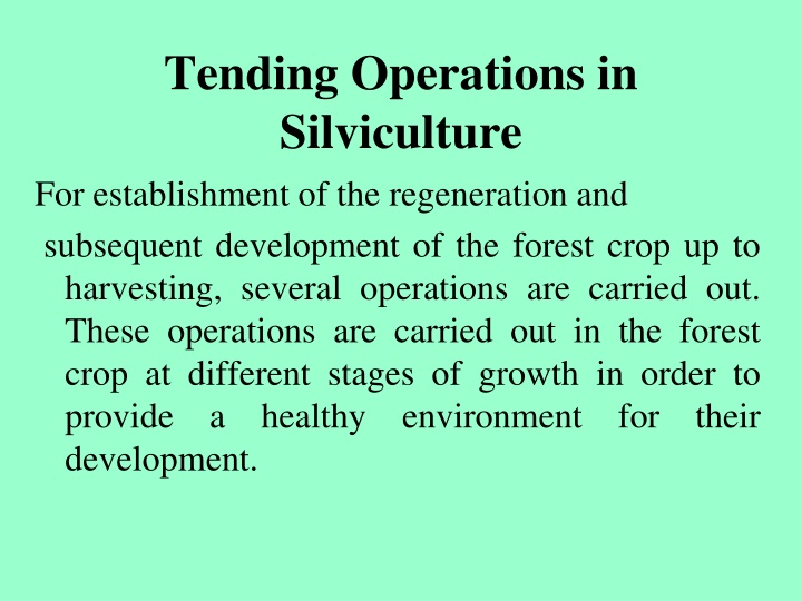 tending operations in silviculture