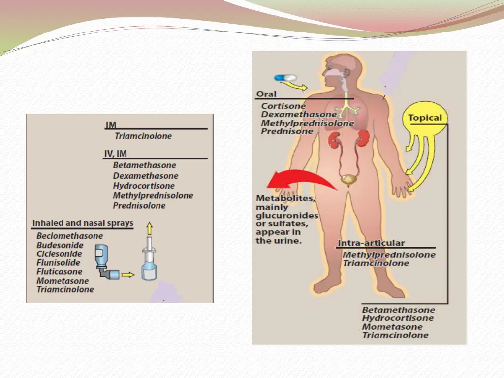 slide15