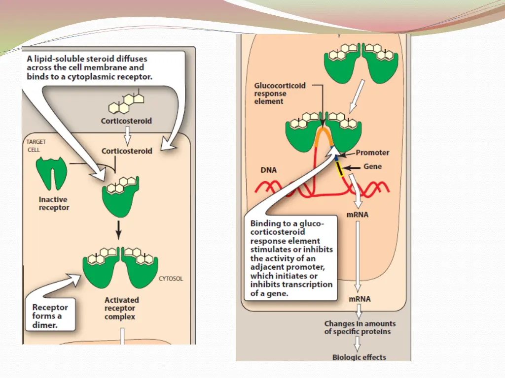 slide5