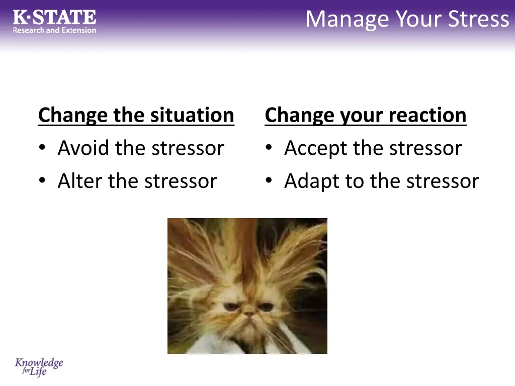 manage your stress