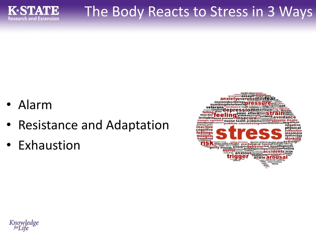 the body reacts to stress in 3 ways