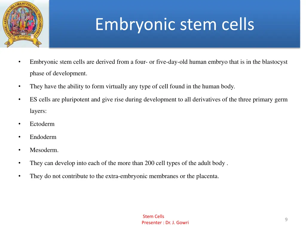 embryonic stem cells