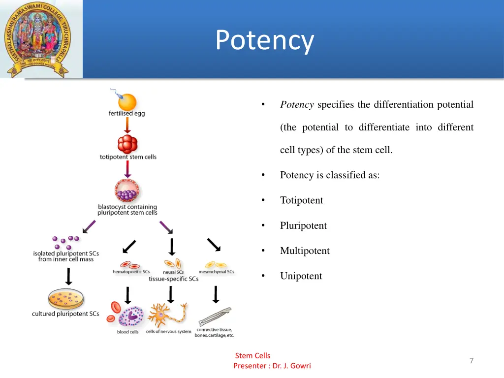 potency