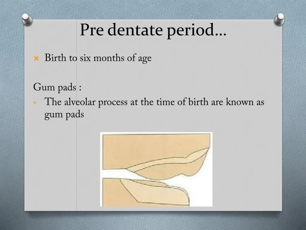 pre dentate period