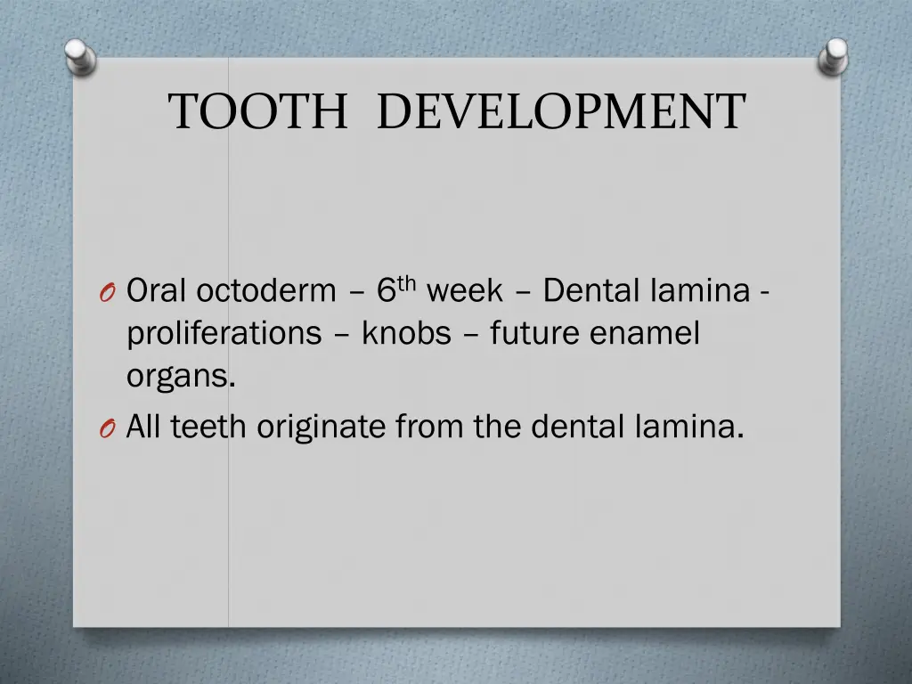 tooth development