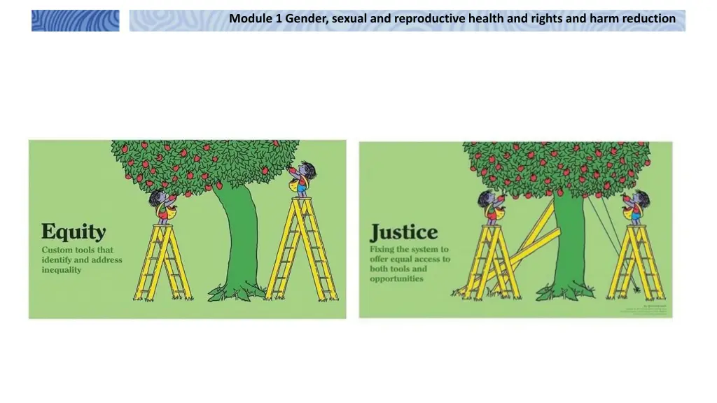 module 1 gender sexual and reproductive health 10