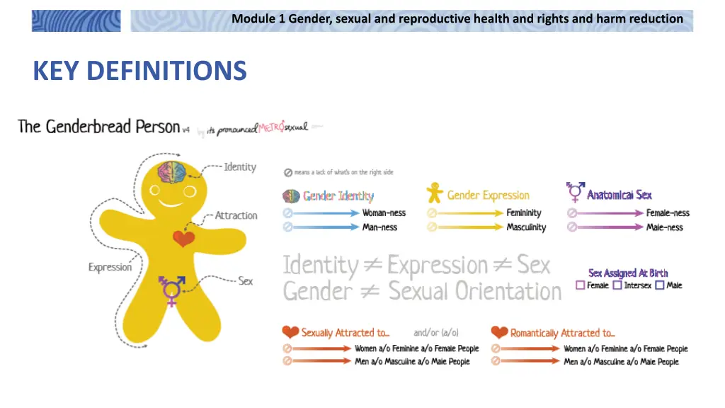 module 1 gender sexual and reproductive health 3