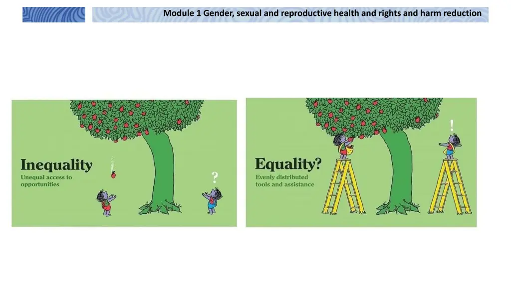 module 1 gender sexual and reproductive health 9