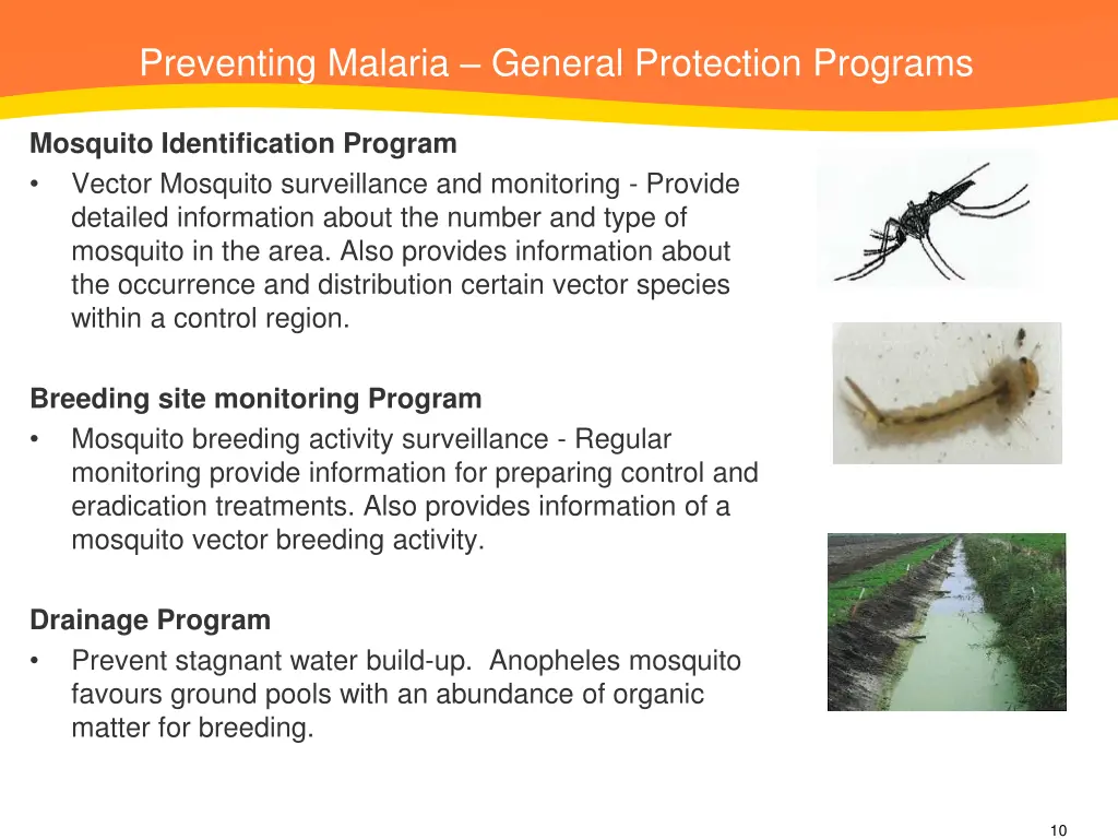 preventing malaria general protection programs