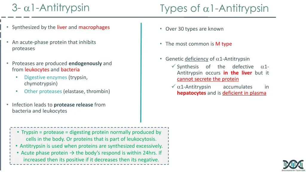 3 1 antitrypsin