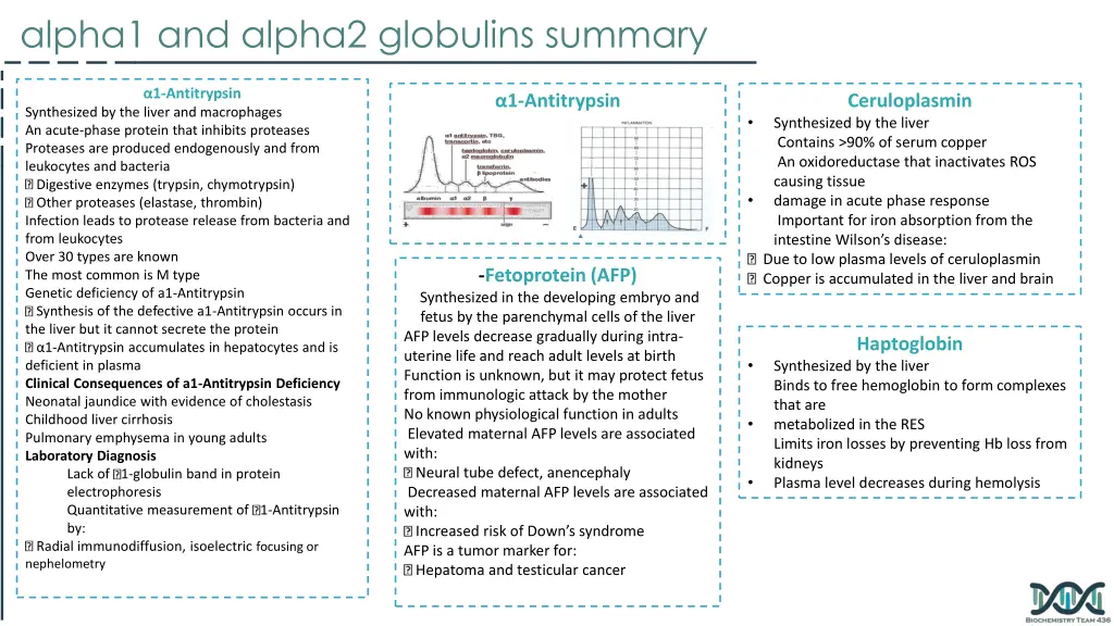 alpha1 and alpha2 globulins summary