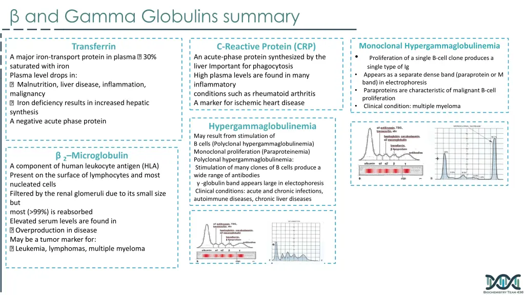 and gamma globulins summary