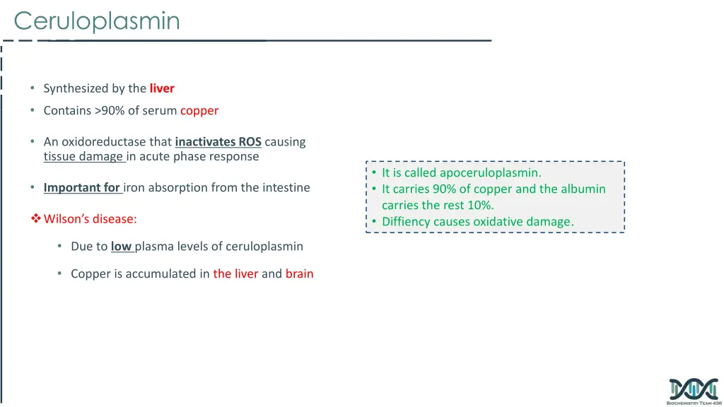 ceruloplasmin