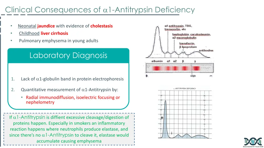 clinical consequences of 1 antitrypsin deficiency