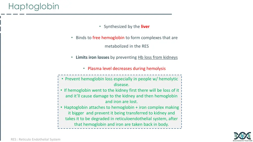 haptoglobin