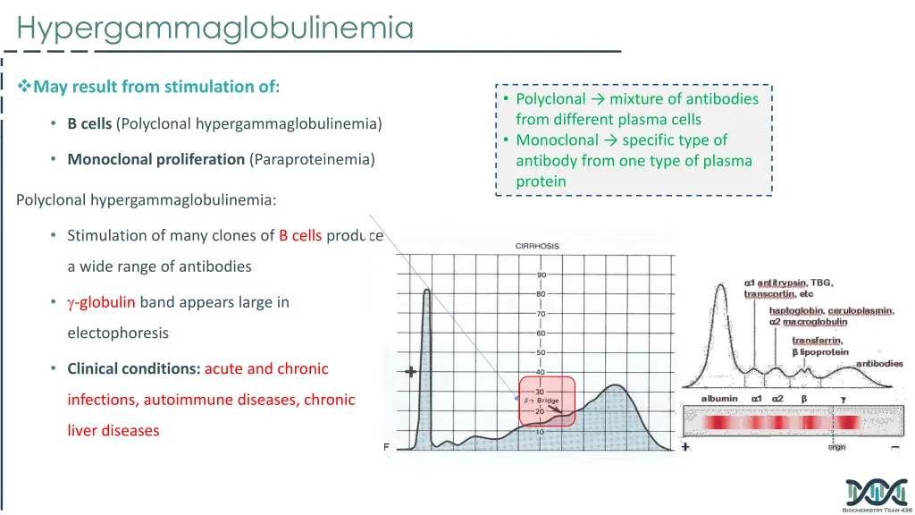 hypergammaglobulinemia