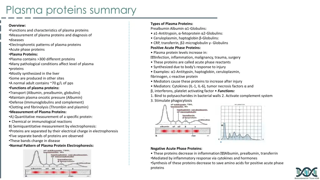 plasma proteins summary