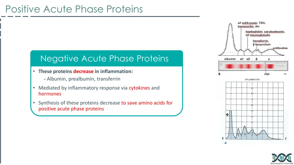 positive acute phase proteins 1