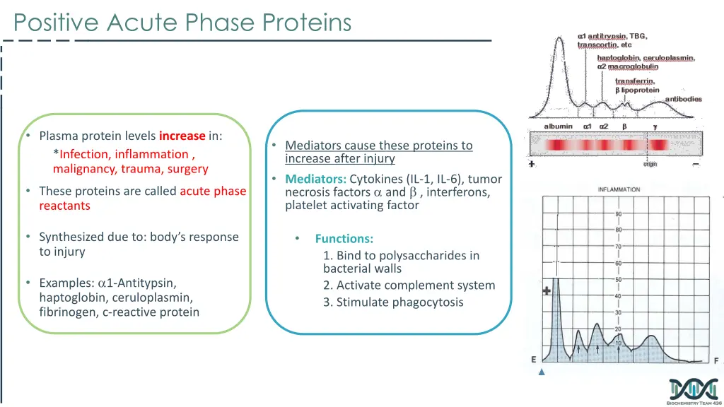 positive acute phase proteins