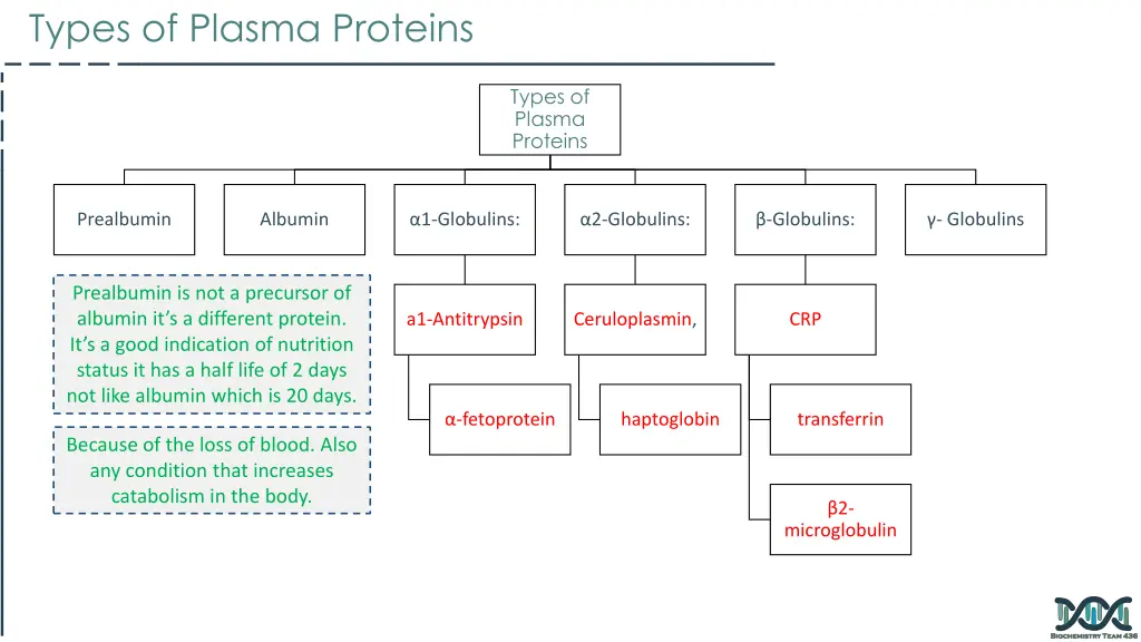 types of plasma proteins