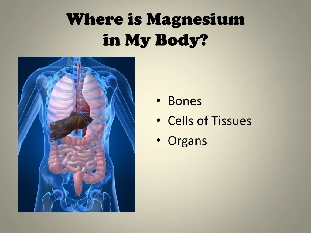 where is magnesium in my body