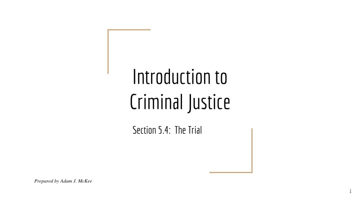 introduction to criminal justice