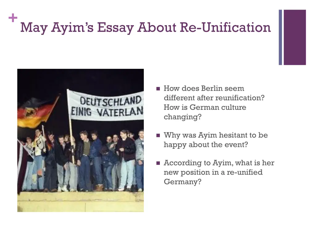 may ayim s essay about re unification