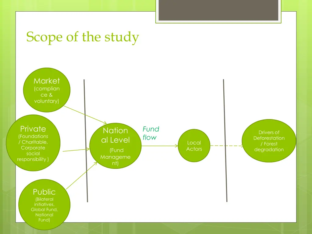 scope of the study