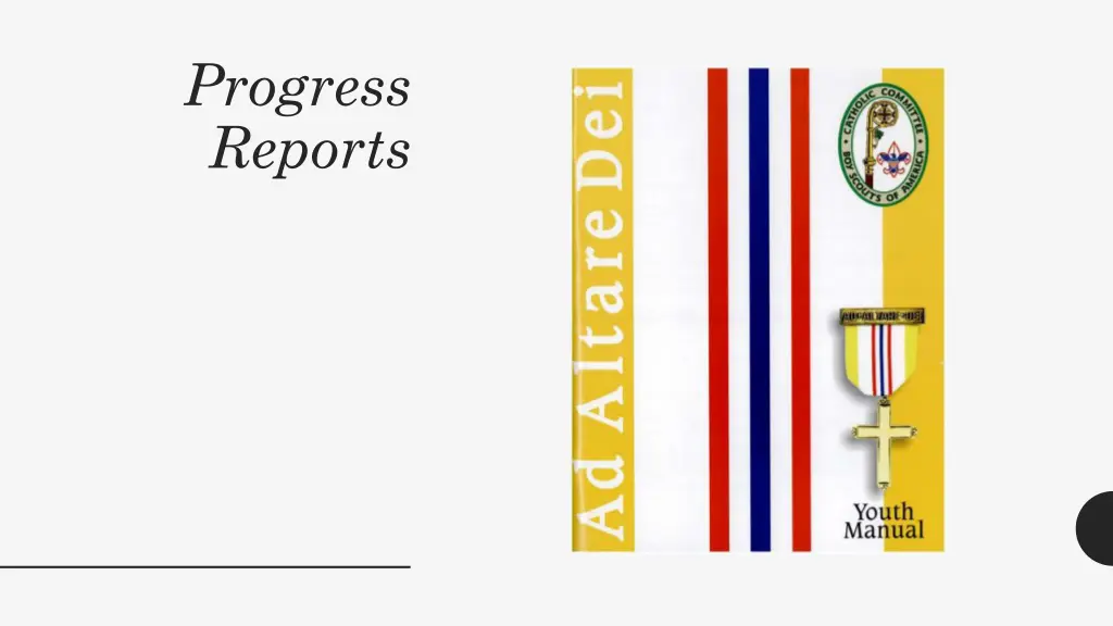 progress reports