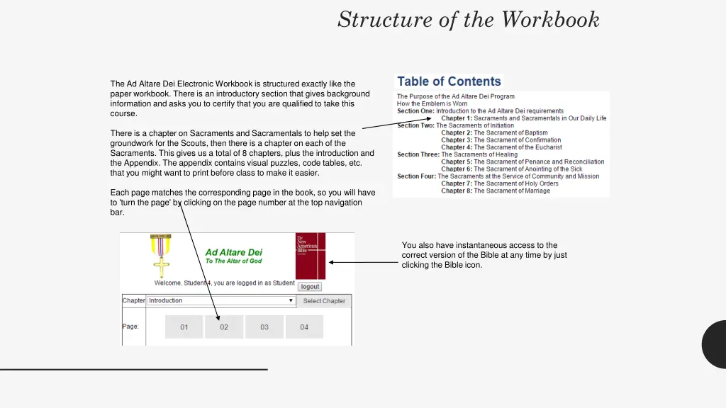 structure of the workbook