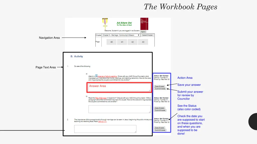 the workbook pages