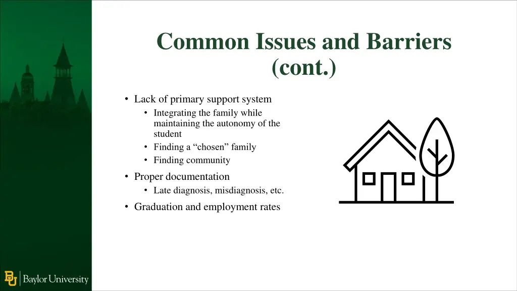 common issues and barriers cont